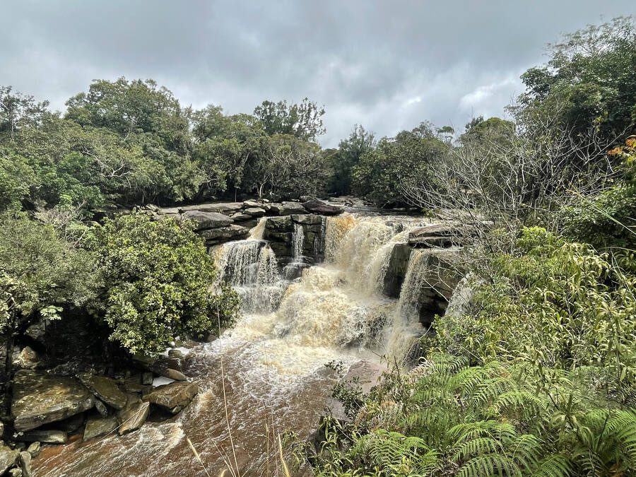 Park Narodowy Bokor